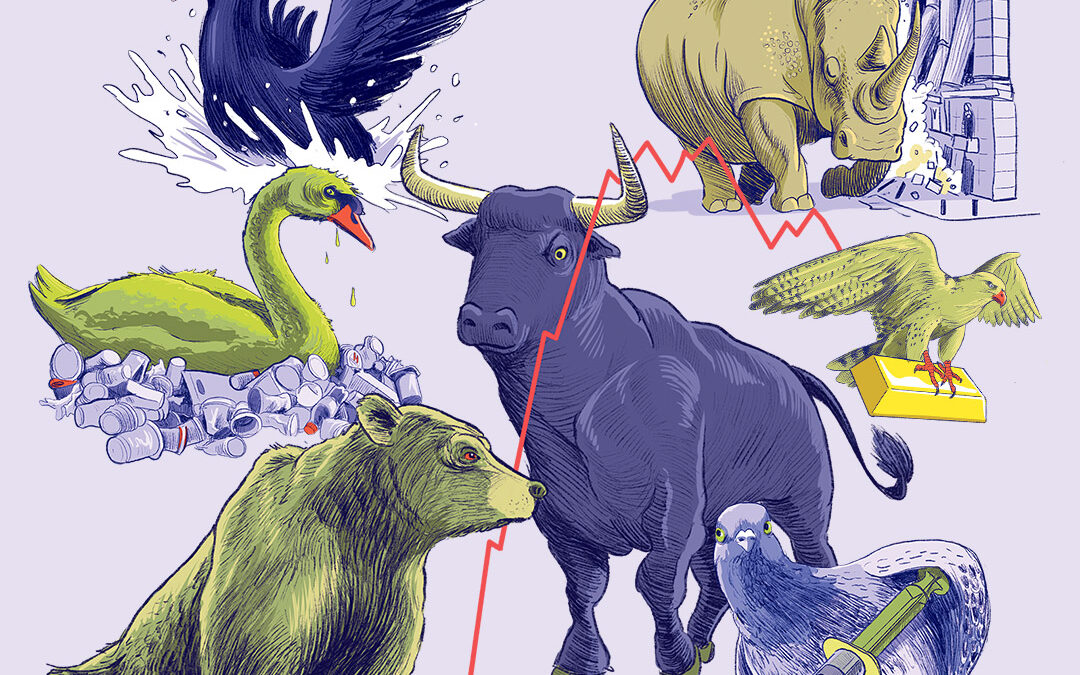 Stock Market Zoology